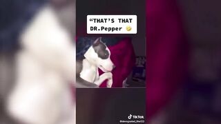 Tik Toks that got the teacher laughing ????????????‍????????‍????