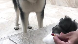 Aprendi3