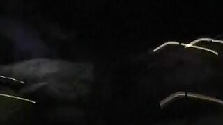 US: Woman pulled from canal after car accident