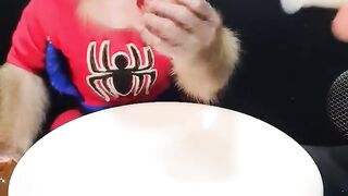 Baby Monkey Eats Fruit Jelly Without Sugar.mp4