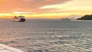 enjoy the sea