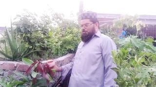 ام کی گرافٹنگ کرنے کا طریقہ