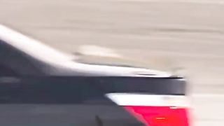 BMW LOVERS