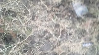 Animal lovers