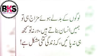 Qoutes of the day 4