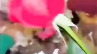 Funny videos 397