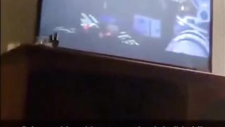 funny cats 19