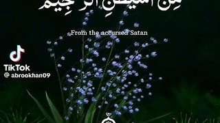 القرآن 5