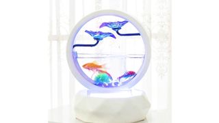 Goldfish Bowl Decoration Living Room Small Ecological Desktop