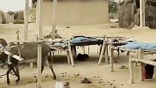 Village life stlye