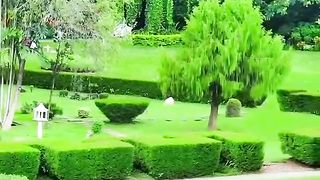 video_by_@natural_worlds_tiktok_|_Amazing_nature_photos,_Beautiful_scenery_nature,_Beautiful_photos_of_nature.
