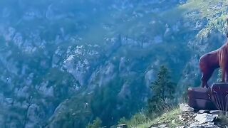 风景美如画