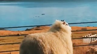 冰岛旅行