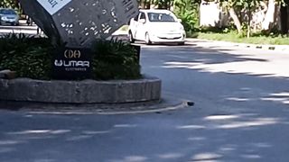Beautiful write in islamabad...https://youtube.com/@pakistanisairsapatee?si=qudTw5noEY6_EABf