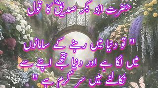 Hazrat Abu Bakar Quotes |  Quotes