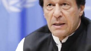imran khan king