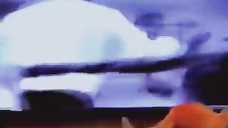 kitty learns to fight like mike tyson
