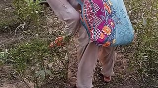 Agriculture 8