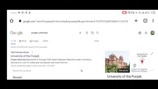 How to fill the  registration form of PU