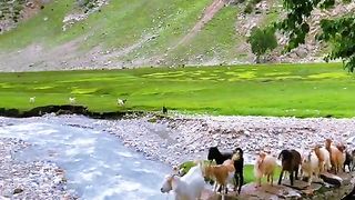 Beauty of Pakistan 10