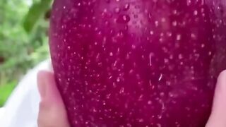 Delightful Apple Tree - Part 5