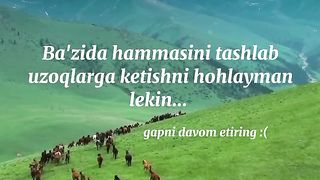 Like-------------