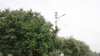 Beautiful Garden 3