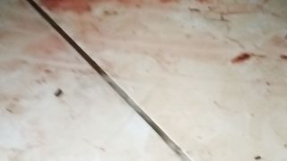 Sigemoy
