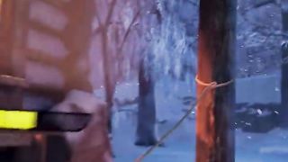 Wolves and a man