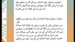 اسلامی معلومات 218