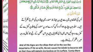 اسلامی معلومات 223