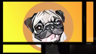 jokes with cats - funny videos