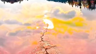 The wonder of nature 6