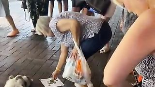 Funny | Feline Fundraisers: Cats in Turkey, Alanya, Using Their Cuteness and Collecting Mo | FunFM
