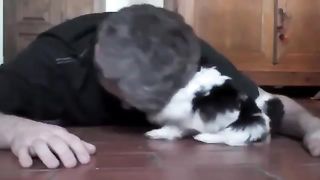 An old man playing with a puppy