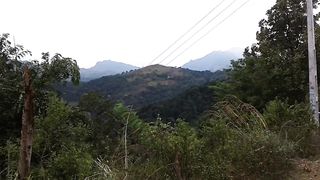 video 236