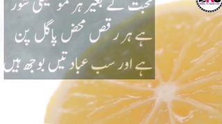 Precious Urdu Quotes