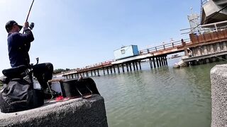 Catch and Cook _ Bilang na Bilang na lang ang Araw ni Kabida Dito sa Taiwan