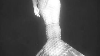 Found Beautiful mermaid
