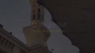 Droud shareef