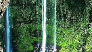 The wonder of nature 8