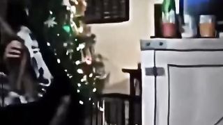 funny crazy cat #4