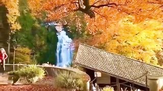 Natural video 31
