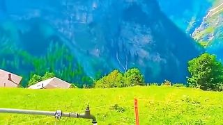 The wonder of nature 9