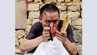 Funny Video 2023 6
