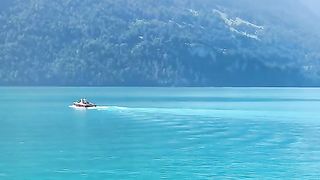 The wonder of nature 10
