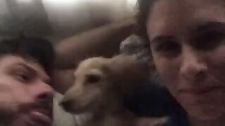 confused dog