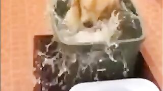 dog playing in water