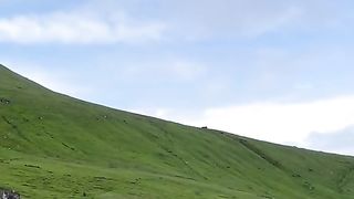 The wonder of nature 11