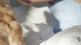 "Les Bons Copains à Quatre Pattes : Une Histoire de Complicité Canine"